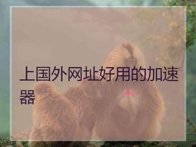 上国外网址好用的加速器