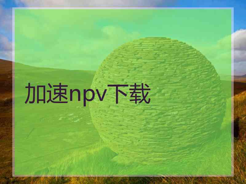 加速npv下载