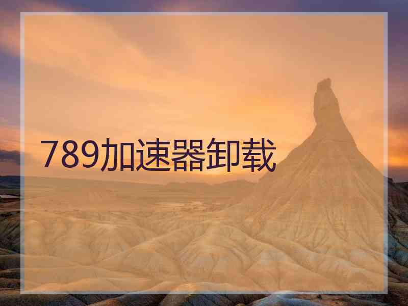 789加速器卸载