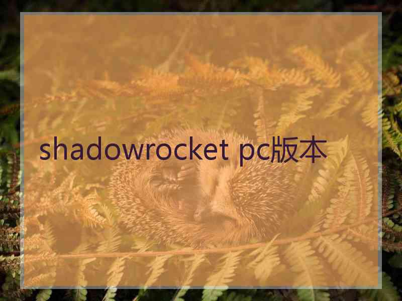 shadowrocket pc版本