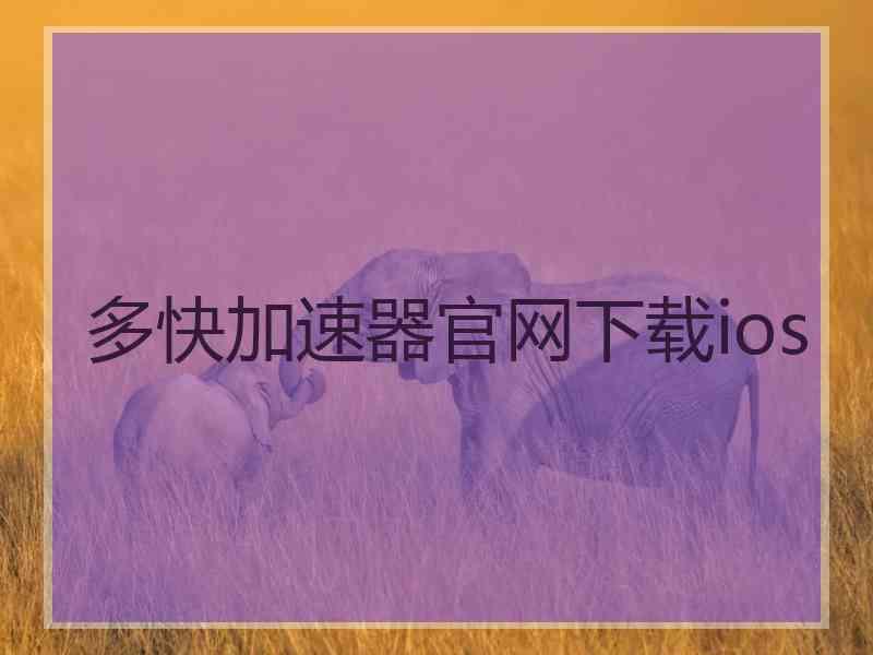 多快加速器官网下载ios