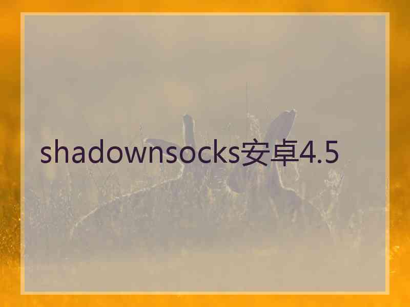 shadownsocks安卓4.5