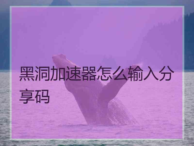 黑洞加速器怎么输入分享码