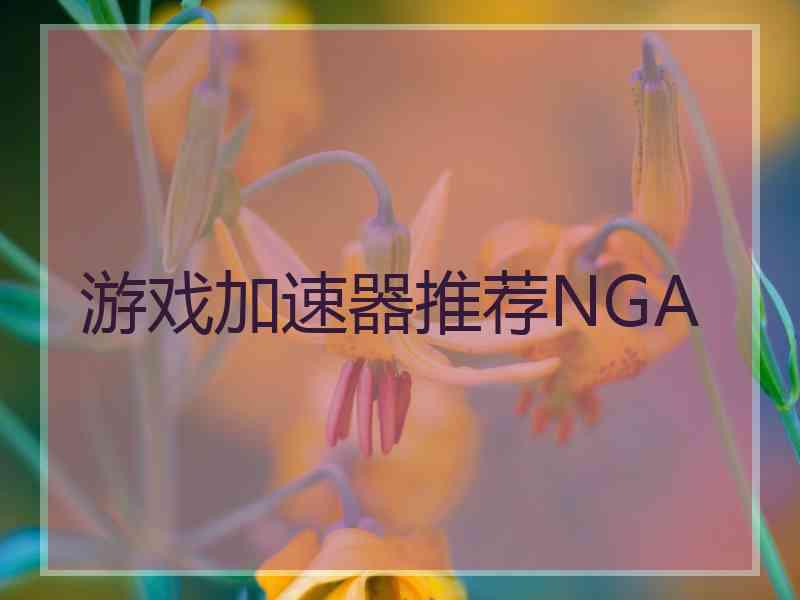 游戏加速器推荐NGA