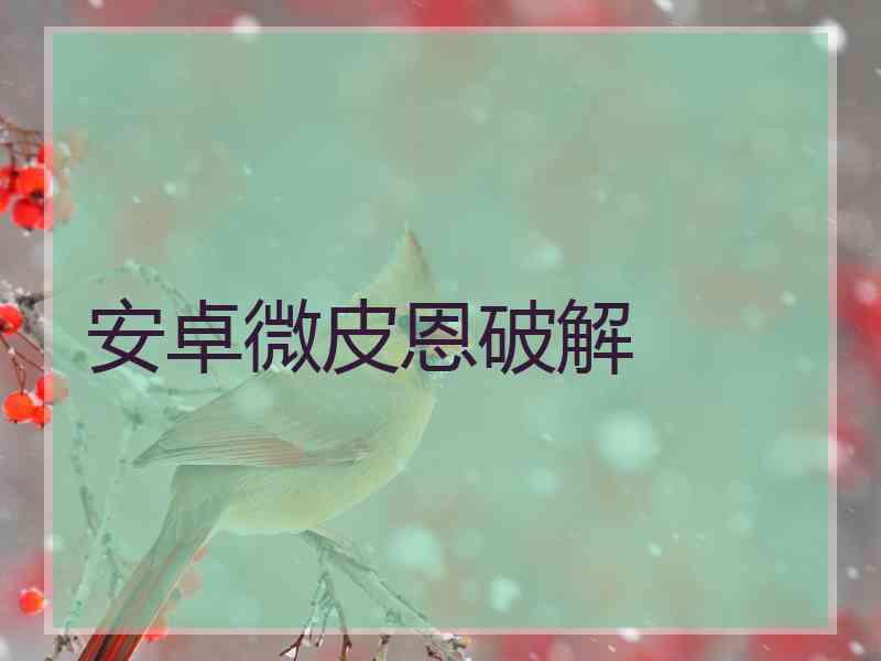 安卓微皮恩破解