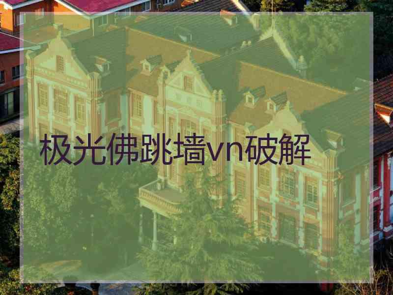 极光佛跳墙vn破解