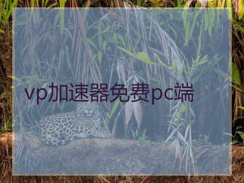 vp加速器免费pc端