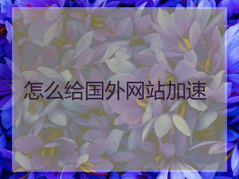 怎么给国外网站加速