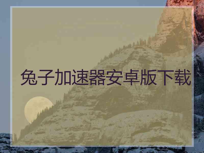 兔子加速器安卓版下载