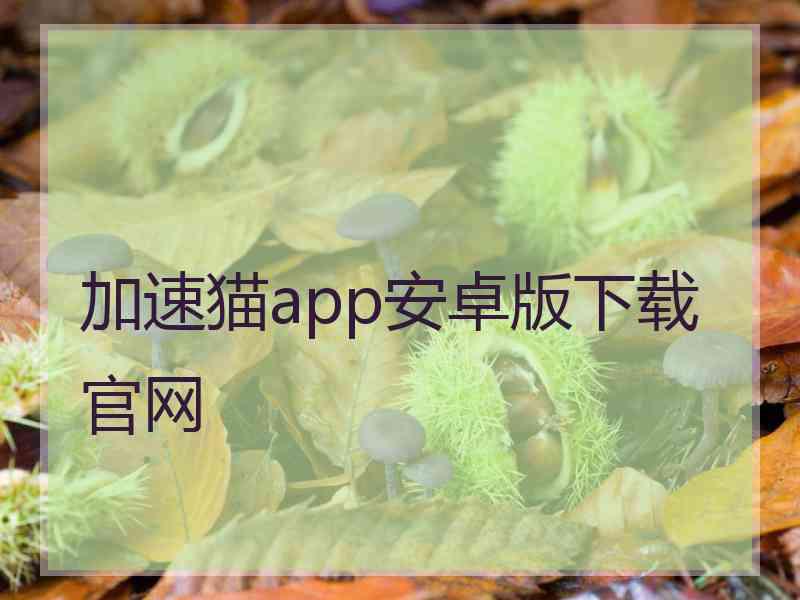 加速猫app安卓版下载官网