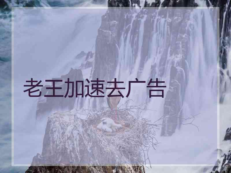 老王加速去广告