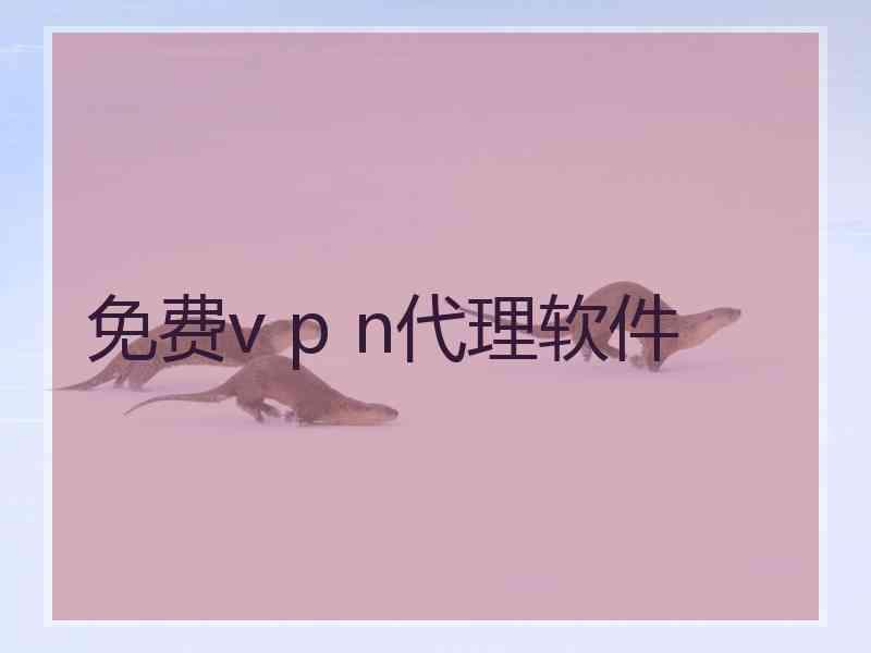 免费v p n代理软件
