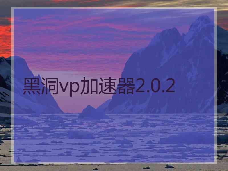 黑洞vp加速器2.0.2