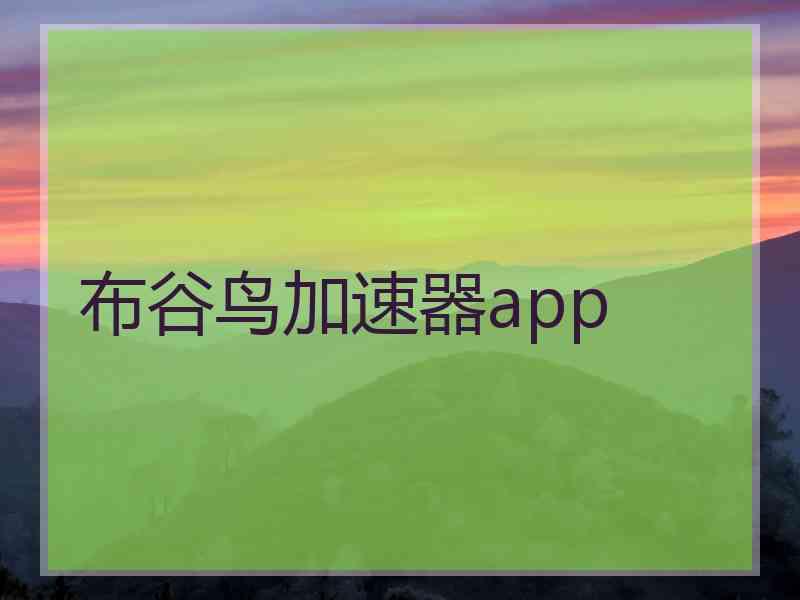 布谷鸟加速器app