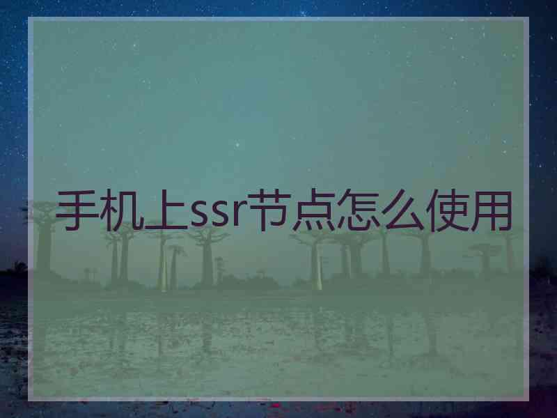 手机上ssr节点怎么使用
