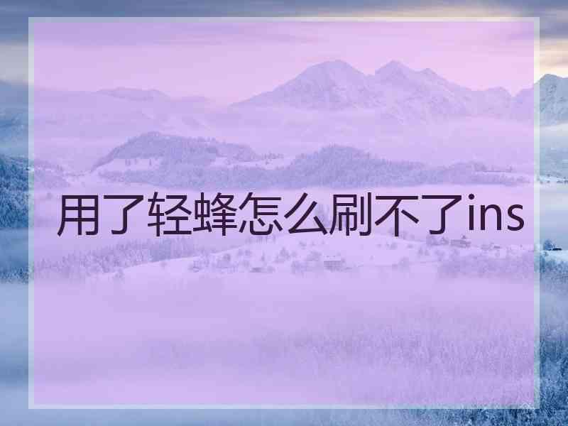 用了轻蜂怎么刷不了ins