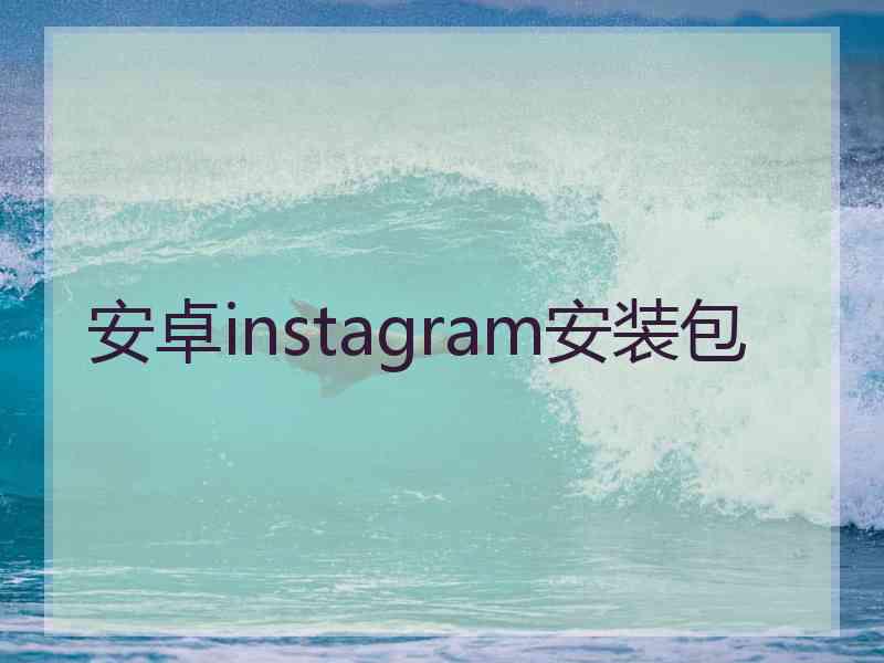 安卓instagram安装包