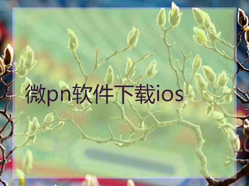 微pn软件下载ios