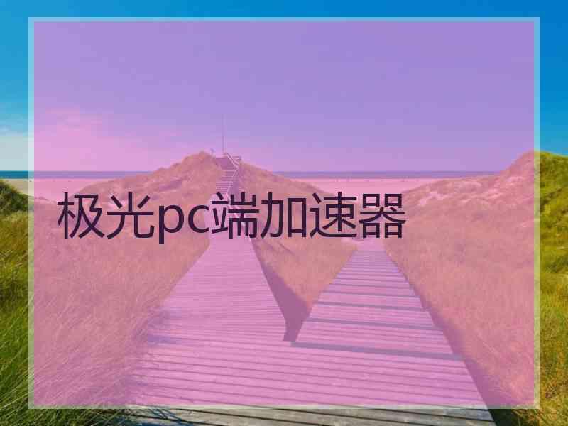 极光pc端加速器