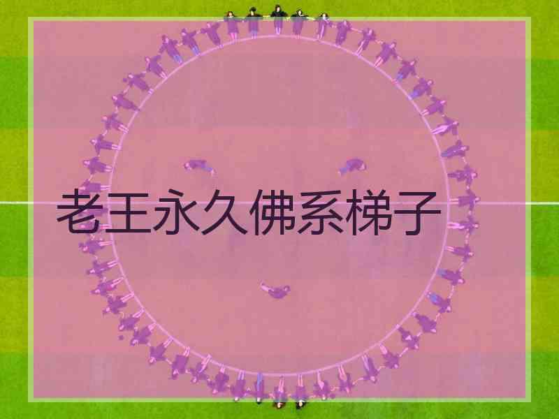 老王永久佛系梯子