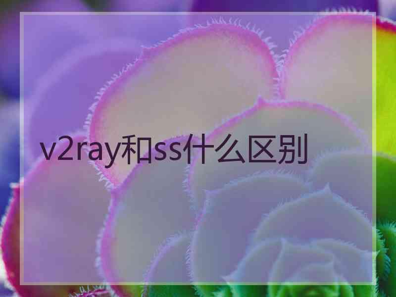 v2ray和ss什么区别