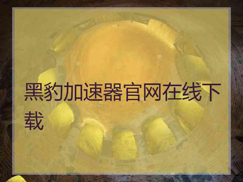 黑豹加速器官网在线下载