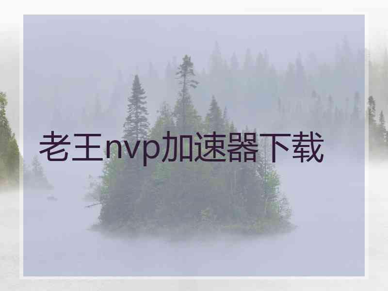 老王nvp加速器下载