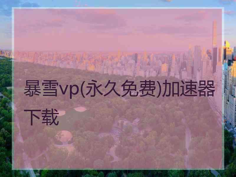 暴雪vp(永久免费)加速器下载