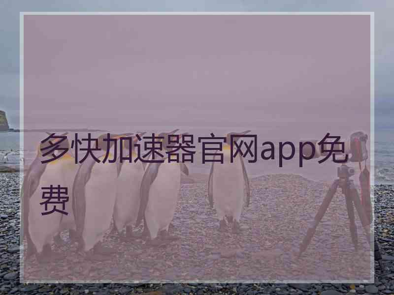 多快加速器官网app免费