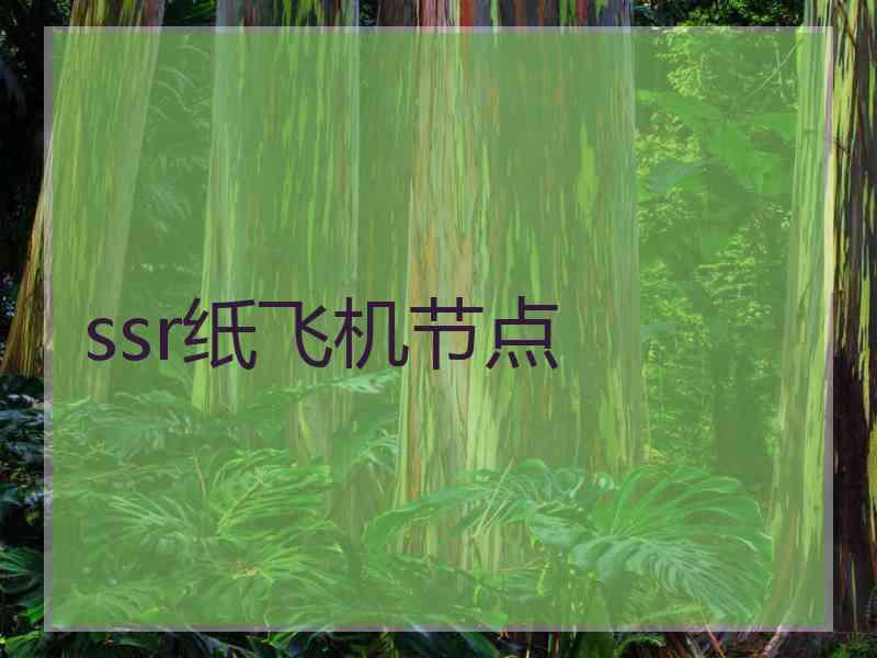 ssr纸飞机节点