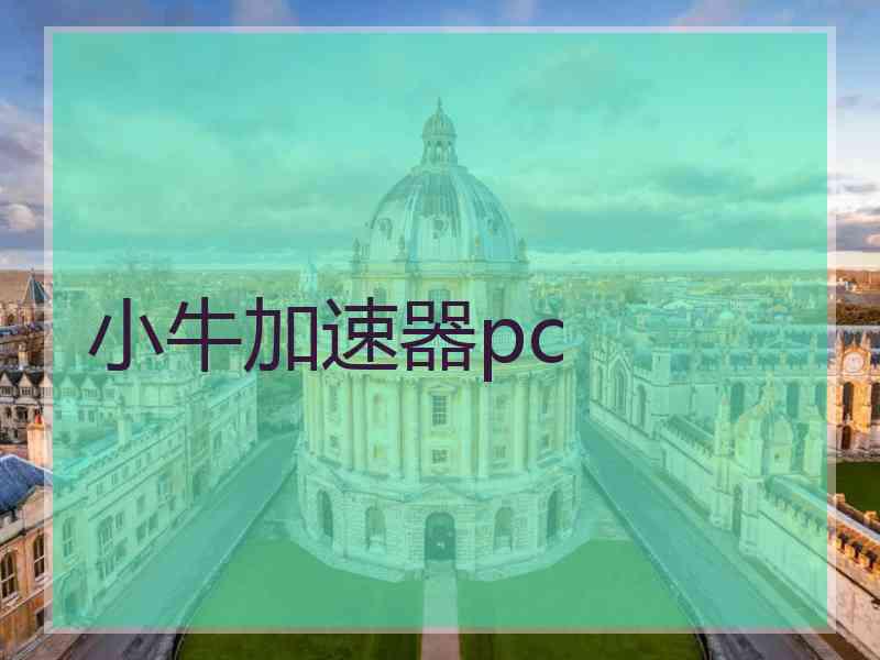 小牛加速器pc