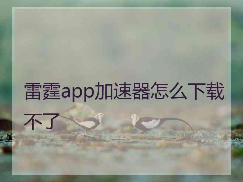 雷霆app加速器怎么下载不了