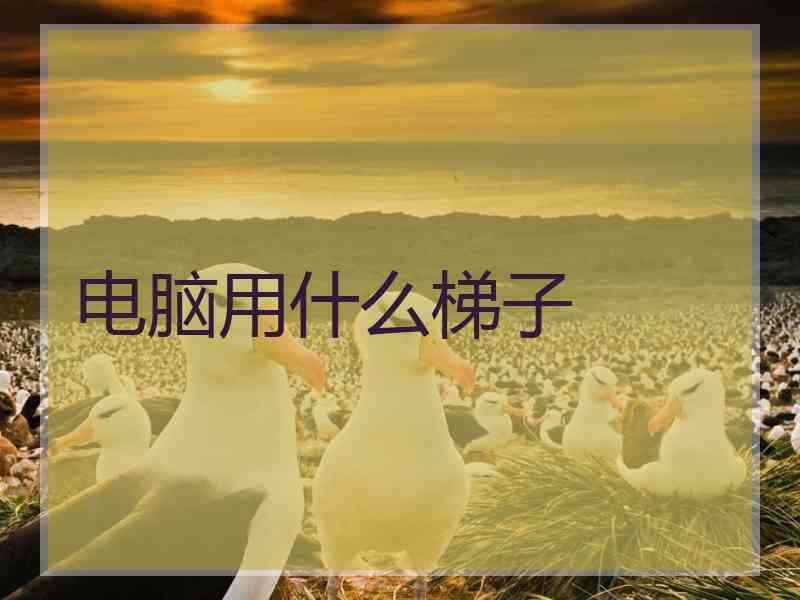 电脑用什么梯子