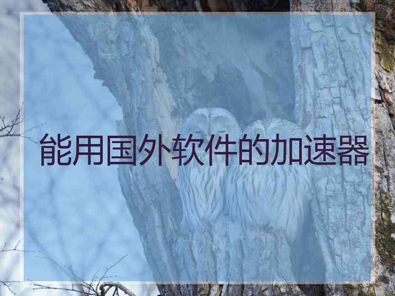 能用国外软件的加速器