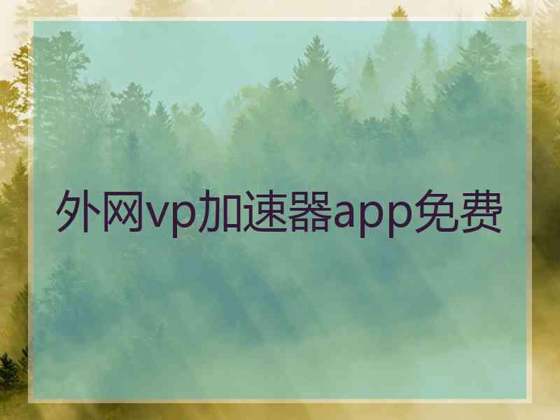 外网vp加速器app免费