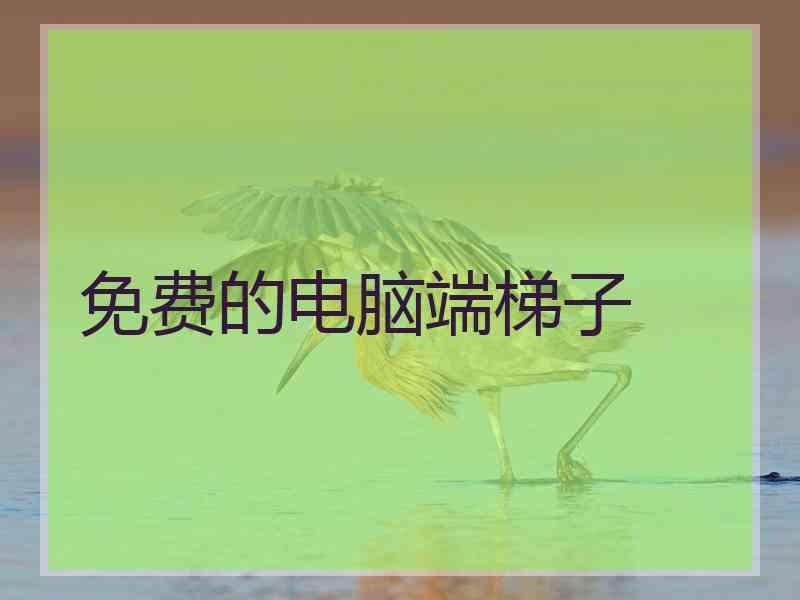 免费的电脑端梯子