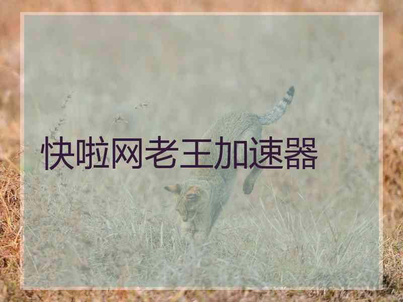 快啦网老王加速器