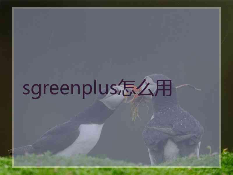 sgreenplus怎么用