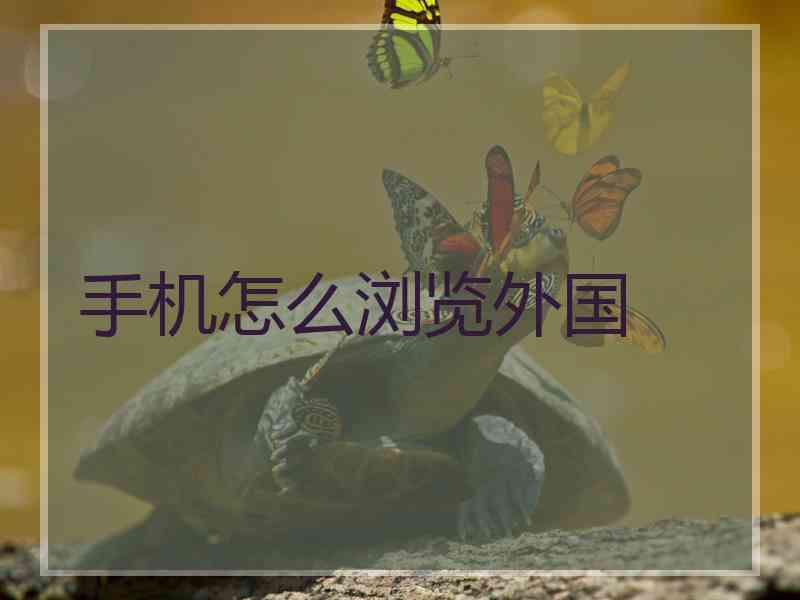 手机怎么浏览外国