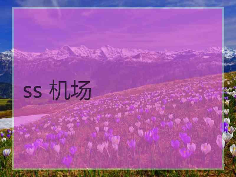 ss 机场