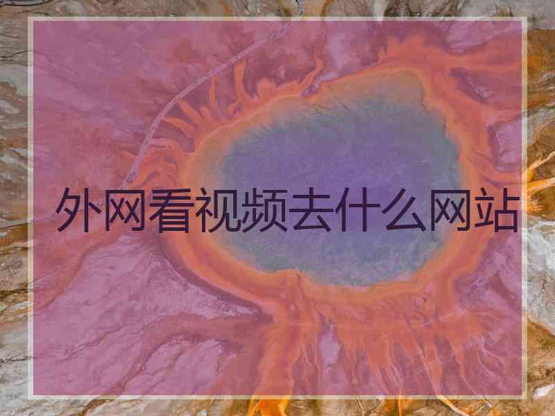 外网看视频去什么网站