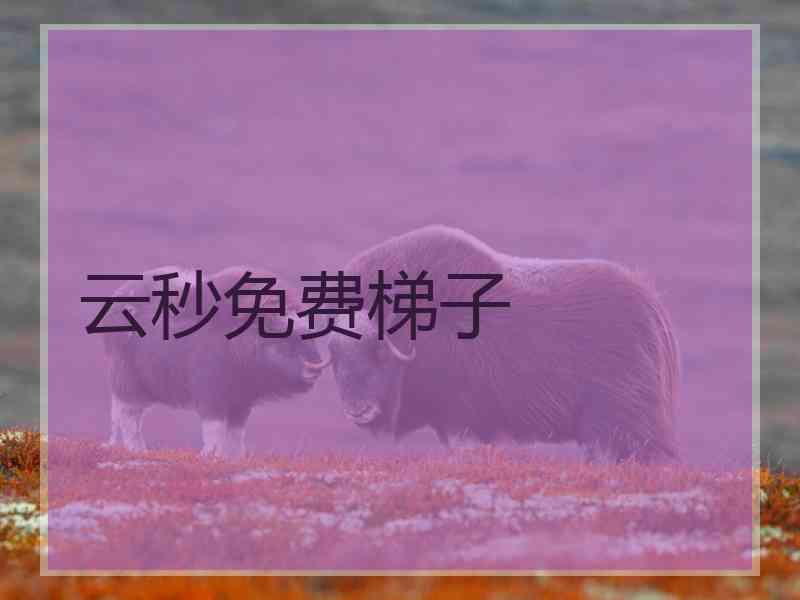 云秒免费梯子