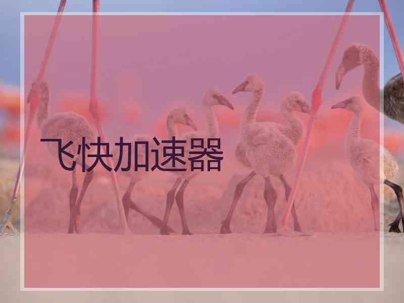 飞快加速器