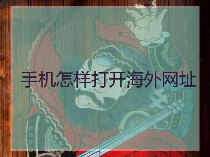 手机怎样打开海外网址