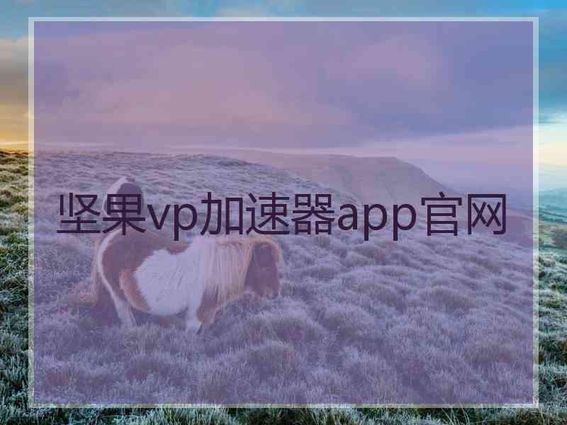 坚果vp加速器app官网