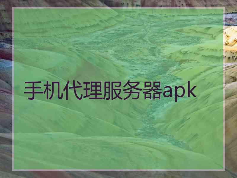 手机代理服务器apk
