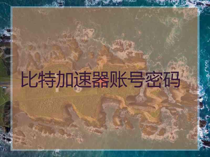 比特加速器账号密码