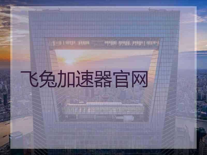 飞兔加速器官网