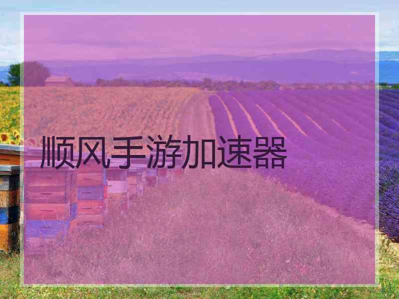 顺风手游加速器