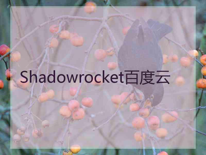 Shadowrocket百度云